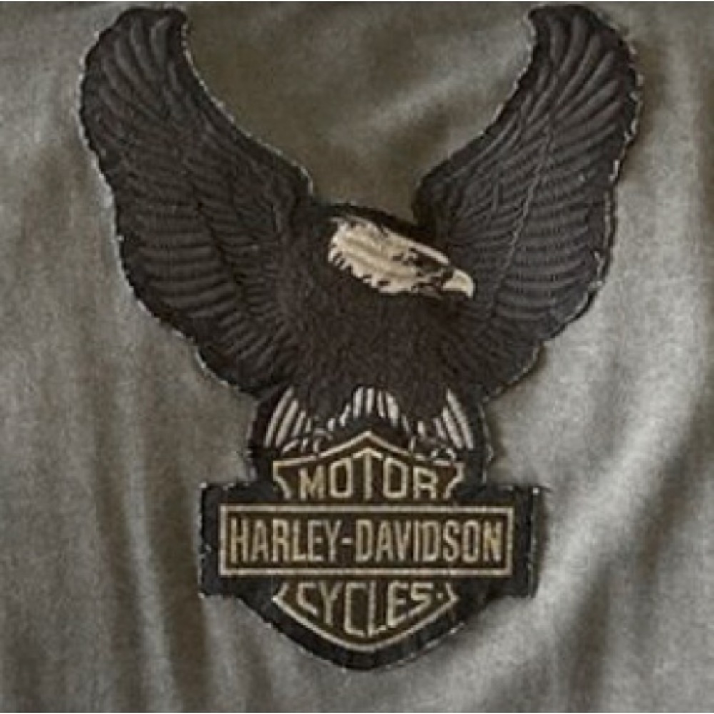 2XL HARLEY DAVIDSON Mens Zip Hoodie